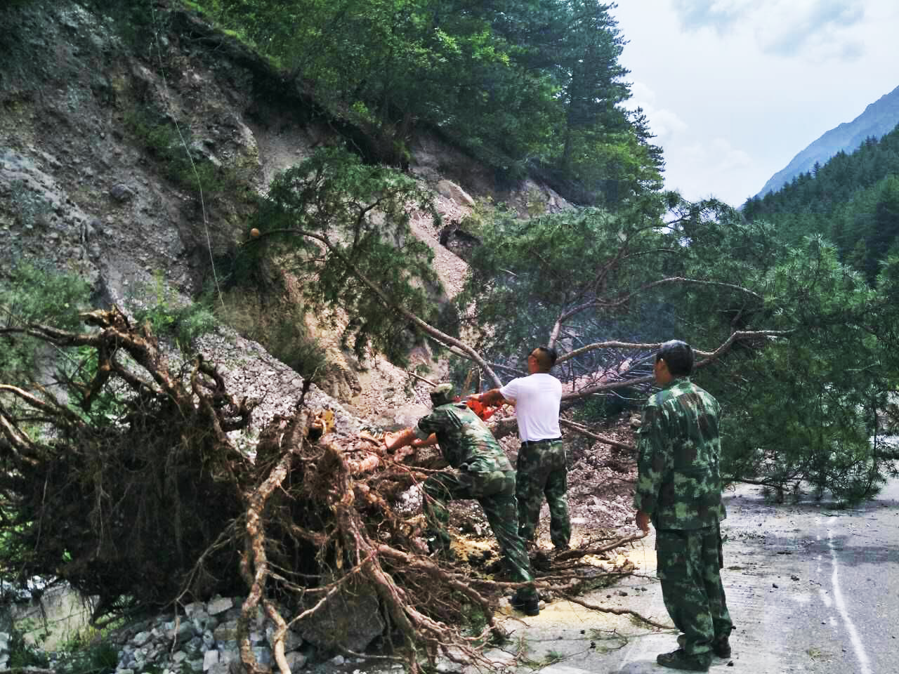 直击九寨沟7级地震现场：车辆被滚落石块砸变形_图片_中国小康网